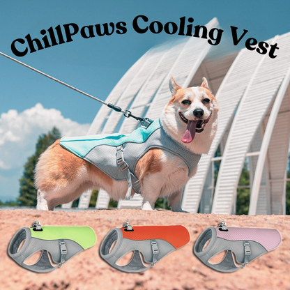 ChillPaws Cooling Vest – Keep Your Dog Cool & Comfortable!