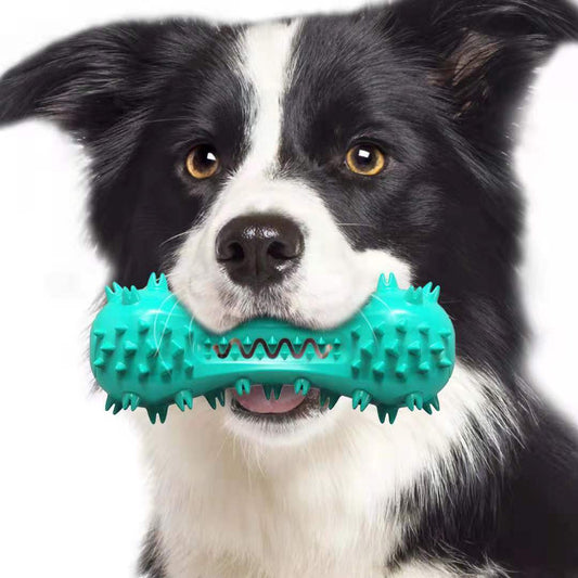 TuffChew Indestructible Dog Chew Toy – Dental Care & Molar Stick