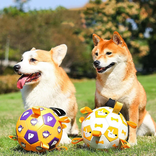 PawPlay Interactive Dog Soccer Ball