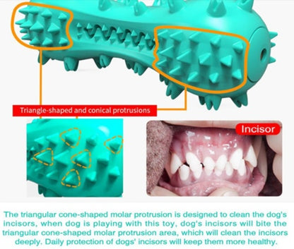 TuffChew Indestructible Dog Chew Toy – Dental Care & Molar Stick