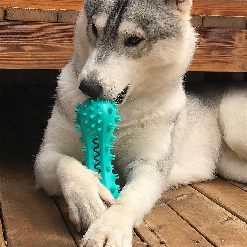 TuffChew Indestructible Dog Chew Toy – Dental Care & Molar Stick