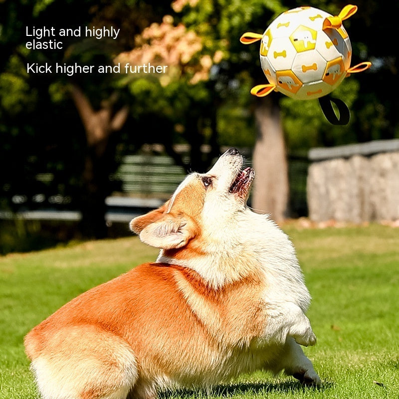 PawPlay Interactive Dog Soccer Ball